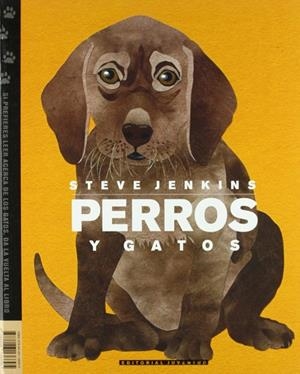 Perros y gatos | 9788426136695 | Jenkins, Steve