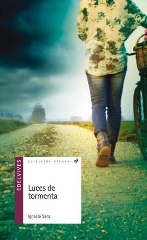 LUCES DE TORMENTA (SOLIDARIDAD/AFÁN DE SUPERACIÓN/TESÓN/AMISTAD/VALENTÍA)-146 | 9788426393715 | Sanz Martin, Ignacio