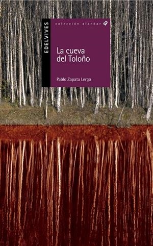 LA CUEVA DEL TOLOÑO (ESPAÑA-SOCIEDAD-HISTORIA)-76 | 9788426359568 | Zapata Lerga, Pablo