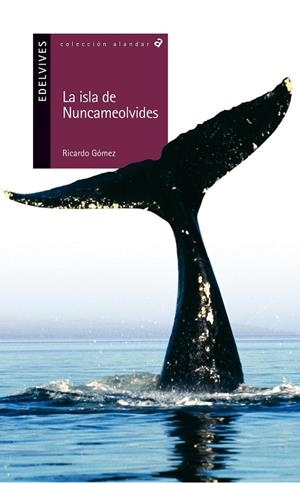 LA ISLA DE NUNCAMEOLVIDES (PSICOLOGÍA-DESARROLLO PERSONAL)-58 | 9788426352156 | Gómez Gil, Ricardo