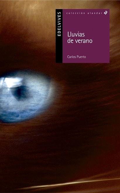 LLUVIAS DE VERANO (PSICOLOGÍA-DESARROLLO PERSONAL) -57 | 9788426355447 | Puerto Arribas, Carlos