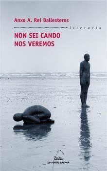 Non sei cando nos veremos | 9788482888033 | Rei Ballesteros, Anxo A.