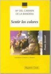 Sentir los colores | 9788421823996 | de la Bandera, María Carmen