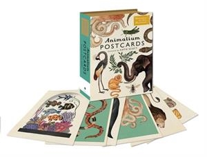 ANIMALIUM POSTCARDS | 9781783706259 | KATIE SCOTT