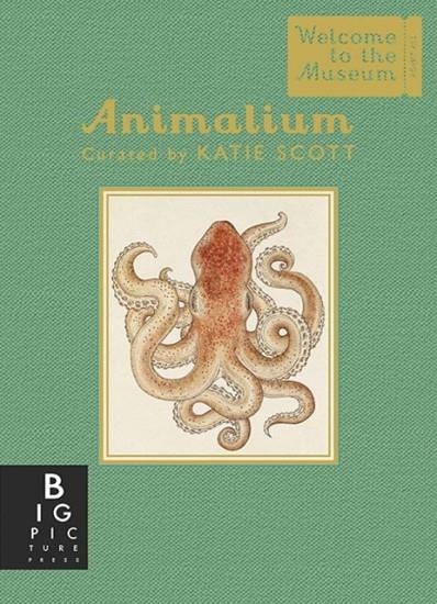 ANIMALIUM (MINI GIFT EDITION) | 9781783706112 | JENNY BROOM