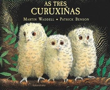 As tres curuxiñas | 9788484643197 | Waddell, Martin