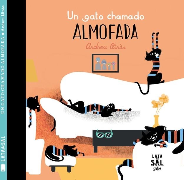 UN GATO CHAMADO ALMOFADA | 9788494469817 | LLINÁS DURÁN, ADREU
