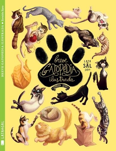 Breve Gatopedia Ilustrada | 9788494469879 | Zaro Soto, Zoraida
