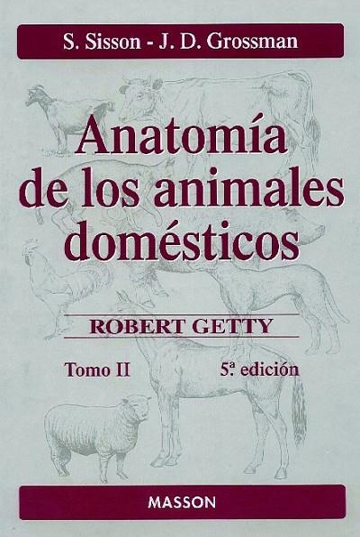 Anatomía de los animales domésticos. Tomo II | 9788445807231