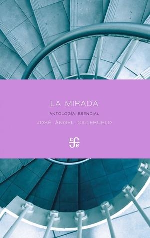La mirada | 9788437507859 | Cilleruelo García, José Ángel