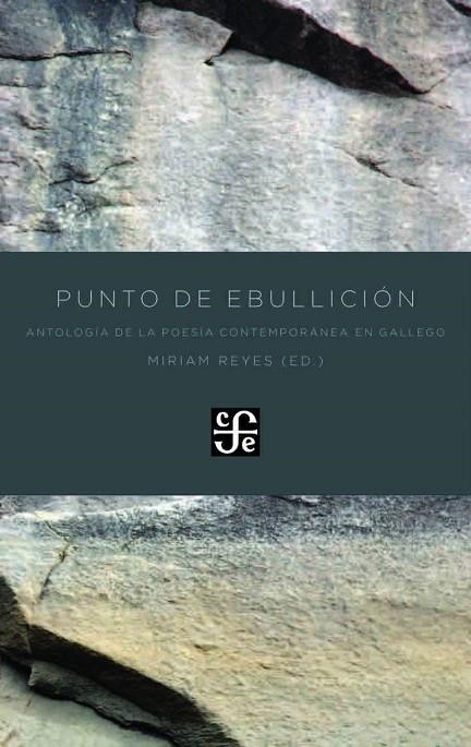 Punto de ebullición | 9788437507262