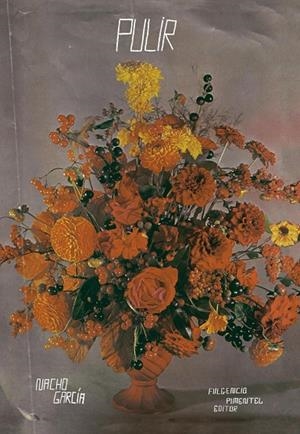 Pulir | 9788493977276 | García, Nacho