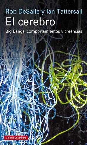 El cerebro | 9788416252268 | DeSalle, Rob;Tattersall, Ian y J Wynne, Patricia