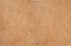 CUANDO AÚN NEVABA | 9788416248636