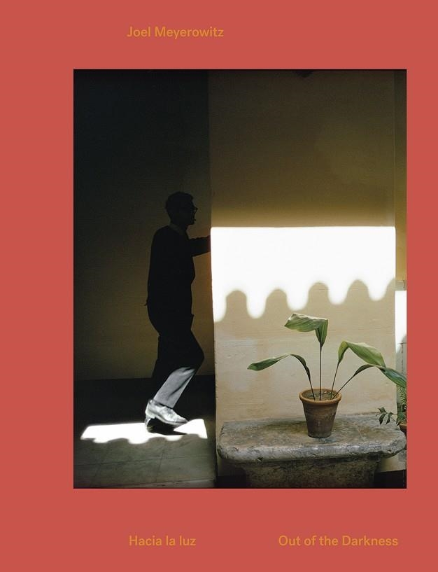 Hacia la luz. | 9788417048433 | Meyerowitz, Joel