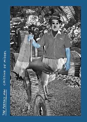 THE PERFECT MAN | 9788417048396