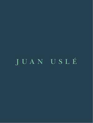 Cuaderno de Artista de Juán Uslé | 9788416248445 | Uslé, Juan