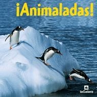 ¡Animaladas! | 9788424623678