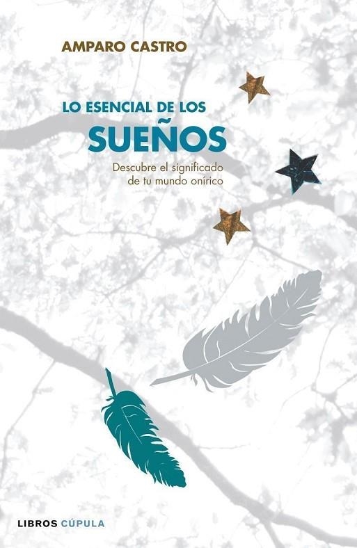 Lo esencial de los Sueños | 9788448047719 | Castro, Amparo