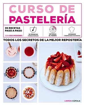 Curso de pastelería | 9788448021856 | AA. VV.