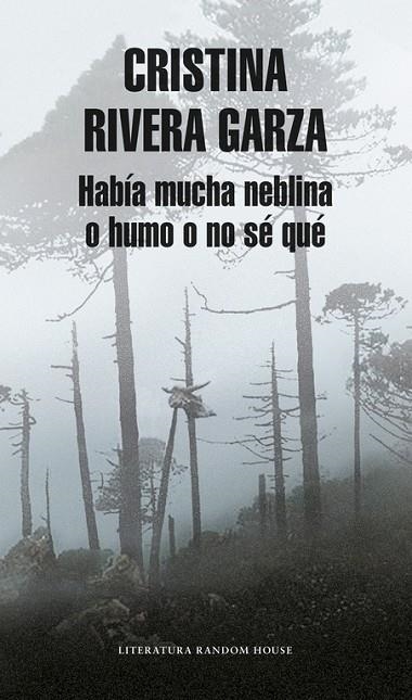 Había mucha neblina o humo o no sé qué (Mapa de las lenguas) | 9788439732761 | Rivera Garza, Cristina