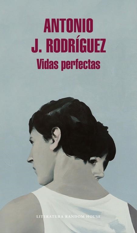 Vidas perfectas | 9788439732891 | Rodríguez, Antonio J.