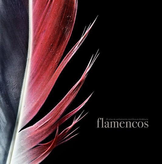 Flamencos | 9788497858793 | AA. VV.