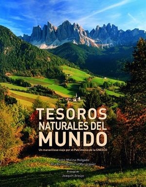 Tesoros naturales del mundo | 9788416177264 | Molina Holgado, Pedro;Berrocal Menárguez, Ana Belén