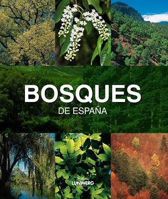 Bosques de España. Lunwerg Medium | 9788497857482 | Araújo, Joaquín
