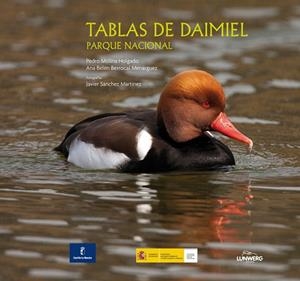 Tablas de Daimiel | 9788497857536 | Molina Holgado, Pedro;Berrocal Menárguez, Ana Belén;Sánchez, Javier