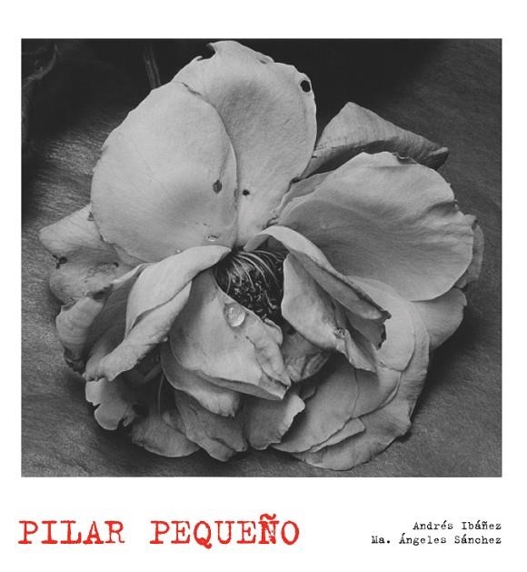 Pilar Pequeño. Lunwerg Photo | 9788497856874 | AA. VV.