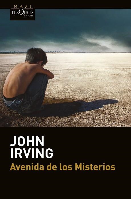 Avenida de los Misterios | 9788490664834 | Irving, John