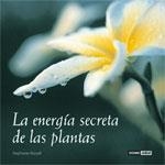 La energía secreta de las plantas | 9788475564784 | Russell, Stephanie