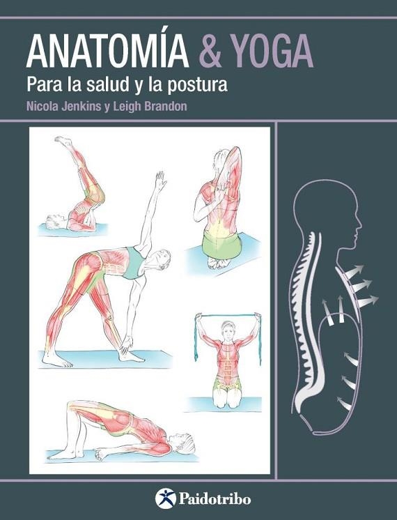 ANATOMÍA AND YOGA Para la salud y la postura | 9788499106618 | Jenkins, Nicola;Brandon, Leigh