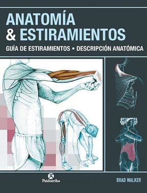 ANATOMÍA AND ESTIRAMIENTOS. Guía de estiramientos. Descripción anatómica (Color) | 9788499100012 | Walker, Brad