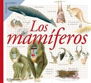LOS MAMIFEROS | 9788434228375 | Julivert Zamarreño, Àngels