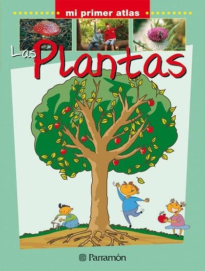 LAS PLANTAS | 9788434227071 | Marcet, Xavier