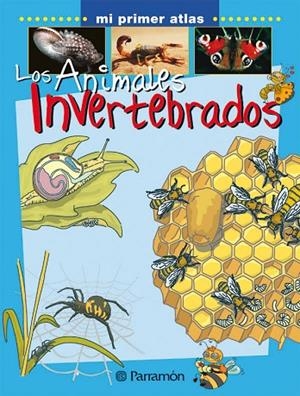 LOS ANIMALES INVERTEBRADOS | 9788434227156 | Marcet, Xavier