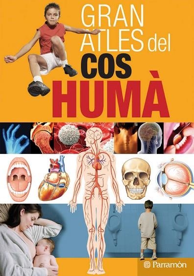 GRAN ATLAS DEL COS HUMA | 9788434228795 | Regalado Navarro, Gustavo;Cassan, Adolfo