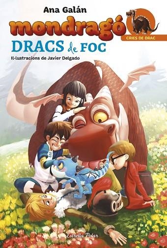 Mondragó. Dracs de foc | 9788491370307 | Galán, Ana;Delgado González, Javier