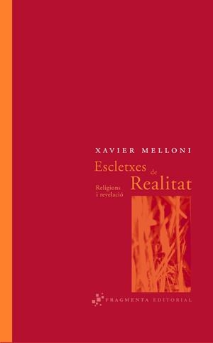 Escletxes de Realitat | 9788493569501 | Melloni Ribas, Xavier