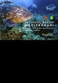 Recursos marins del Mediterrani. Fauna i flora del mar català | 9788439377443 | Lloris , Domènec;Meseguer i Ballester, Sergi