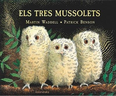 Els tres mussolets | 9788416804191 | Waddell, Martin