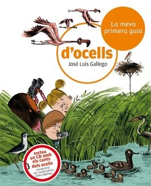 La meva primera guia d'ocells | 9788424633721 | Gallego, José Luis