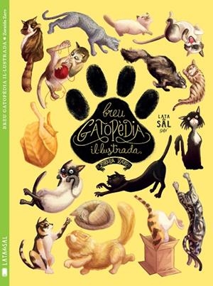 Breu Gatopèdia Il·lustrada | 9788494469886 | Zaro Soto, Zoraida
