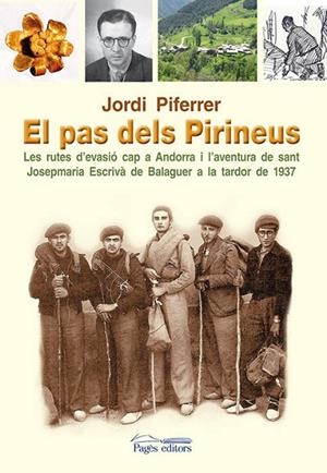 El pas dels Pirineus | 9788499752624 | Piferrer, Jordi