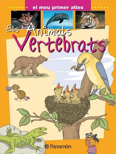 ELS ANIMALS VERTEBRATS | 9788434227101 | Marcet, Xavier