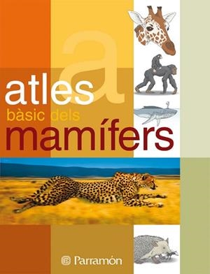 ATLES BASIC DELS MAMIFERS | 9788434229525 | Julivert Zamarreño, Àngels