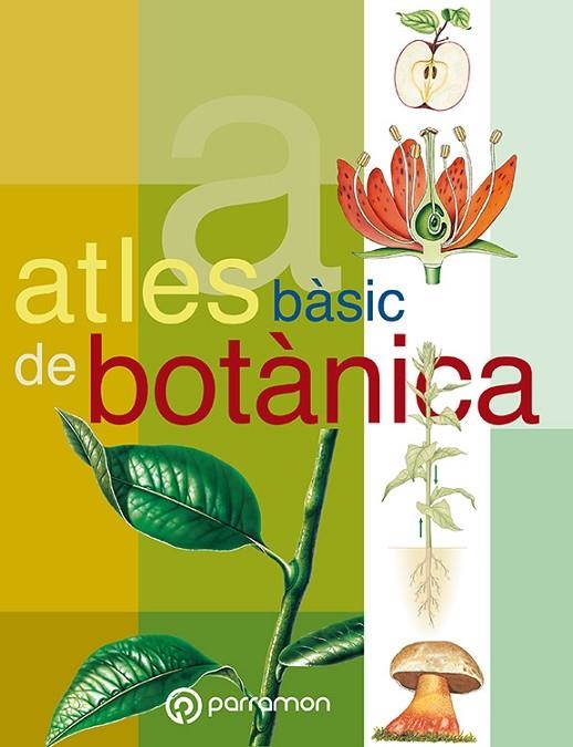ATLES BASIC DE BOTANICA | 9788434224636 | Cuerda, Josep