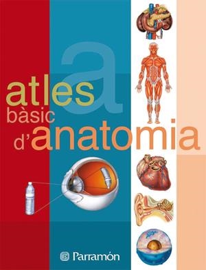 ATLES BASIC D'ANATOMIA | 9788434223134 | Cassan, Adolfo;Muñoz Tenllado, Antonio